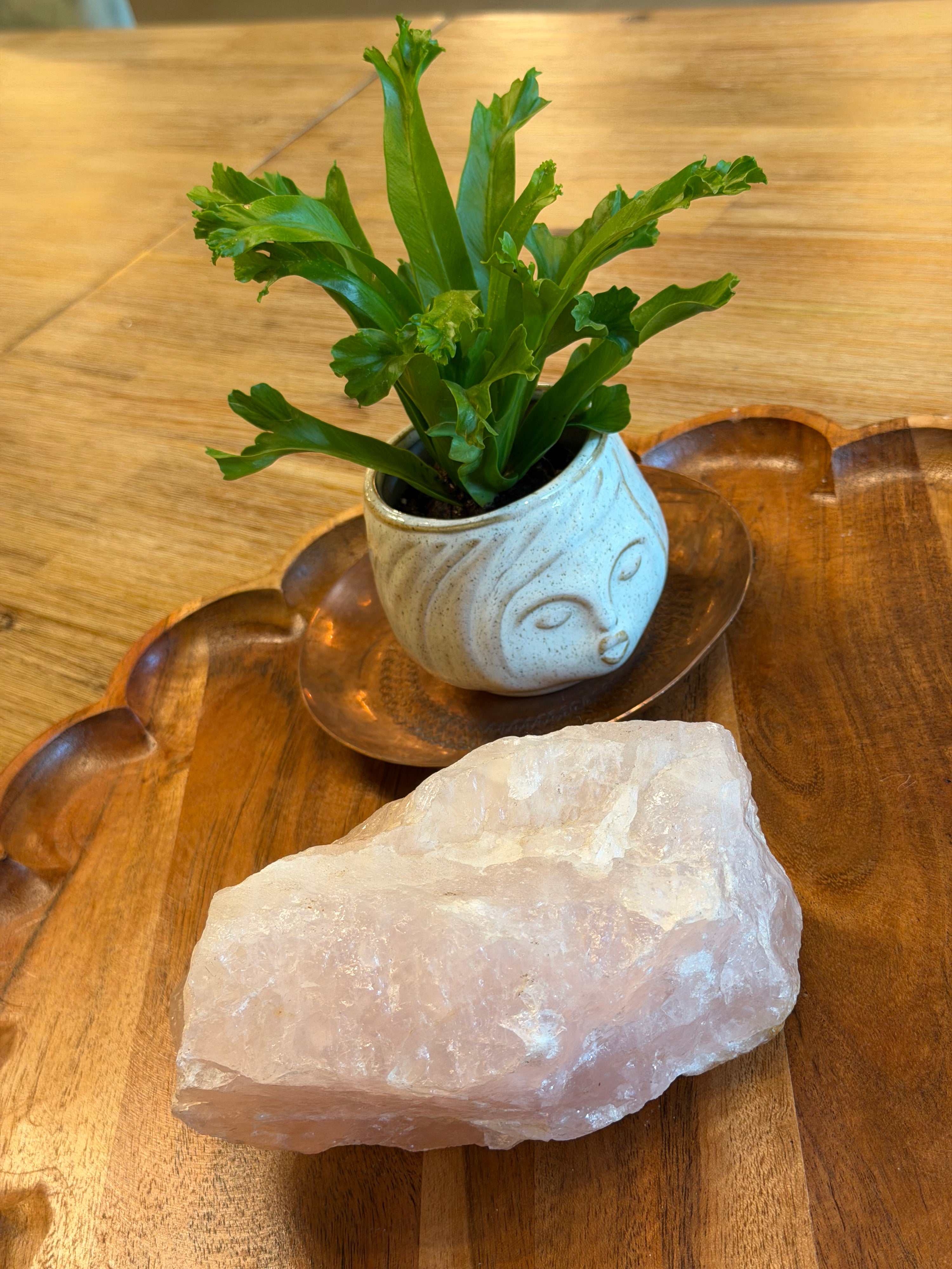 A large rough pink rose quartz crystal sits on a scalloped wooden tray next to a small green potted plant in a white ceramic pot with a carved face, all set on a wooden table.